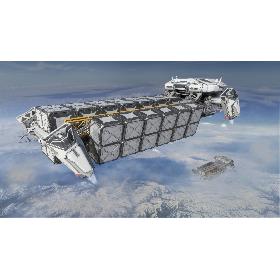 Rock Pigeon (Animated) 3D